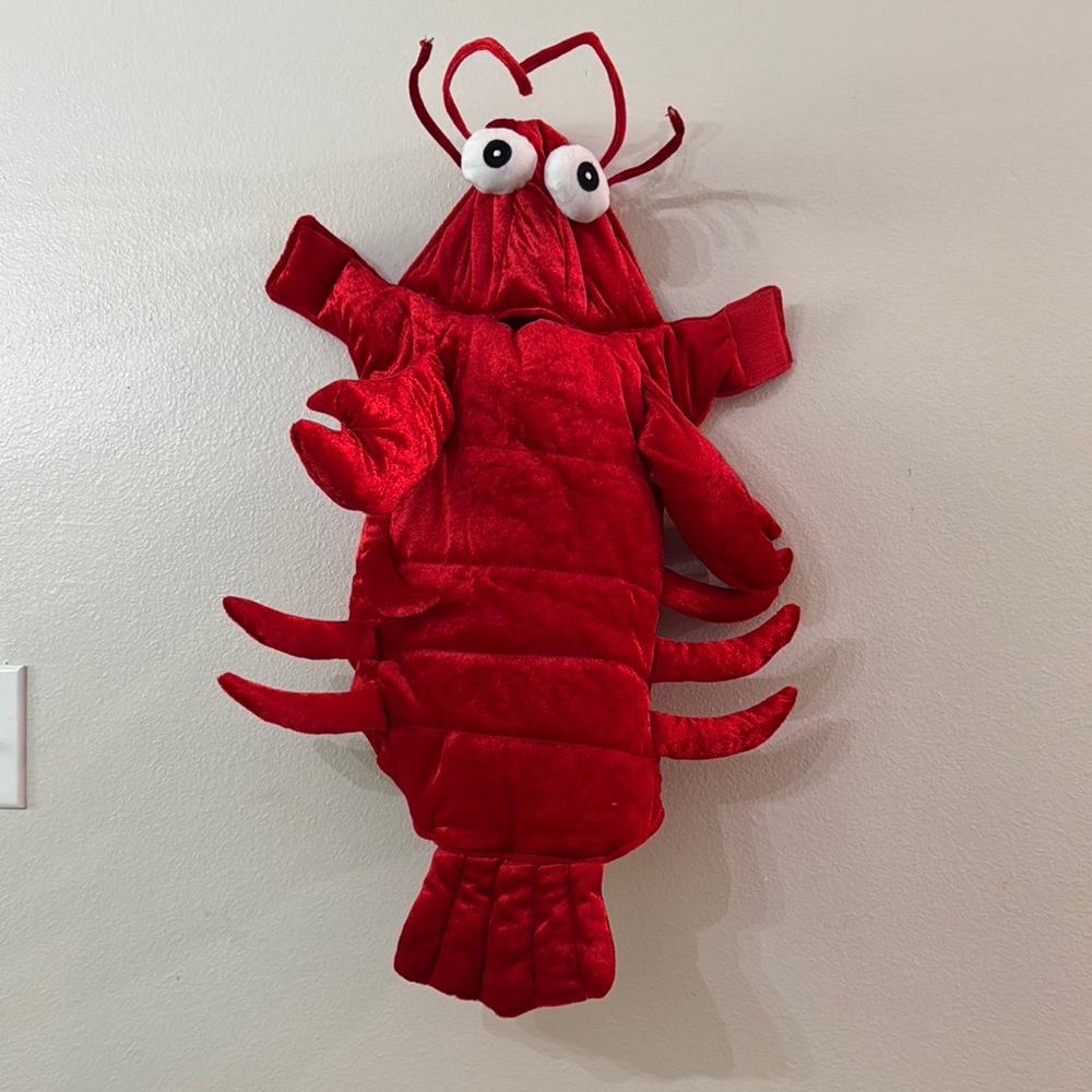 Red Lobster/ crawfish Dog Costume size medium